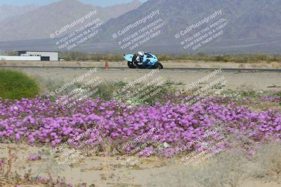 media/Feb-04-2023-SoCal Trackdays (Sat) [[8a776bf2c3]]/Turn 15 Inside Blooming (1050am)/